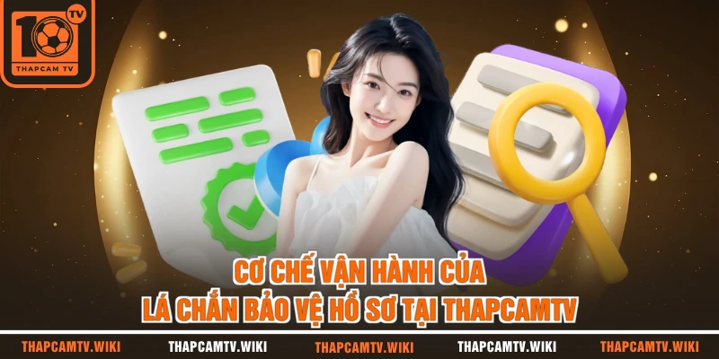 Cơ chế vận hành của lá chắn bảo vệ hồ sơ tại thapcamtv