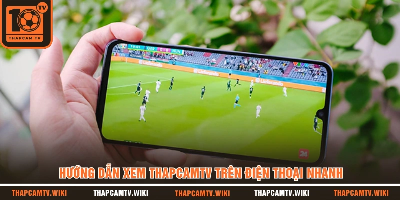 Hướng dẫn xem THAPCAMTV trên điện thoại nhanh