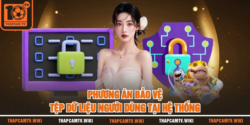 Phương án bảo vệ tệp dữ liệu người dùng tại hệ thống